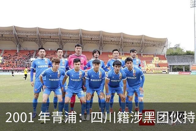 2001 年青浦：四川籍涉黑团伙持枪敲诈抢劫，首犯被判 20 年